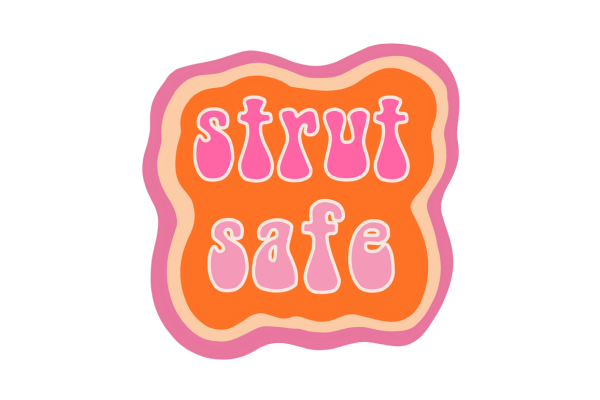 General Resources Strut Safe